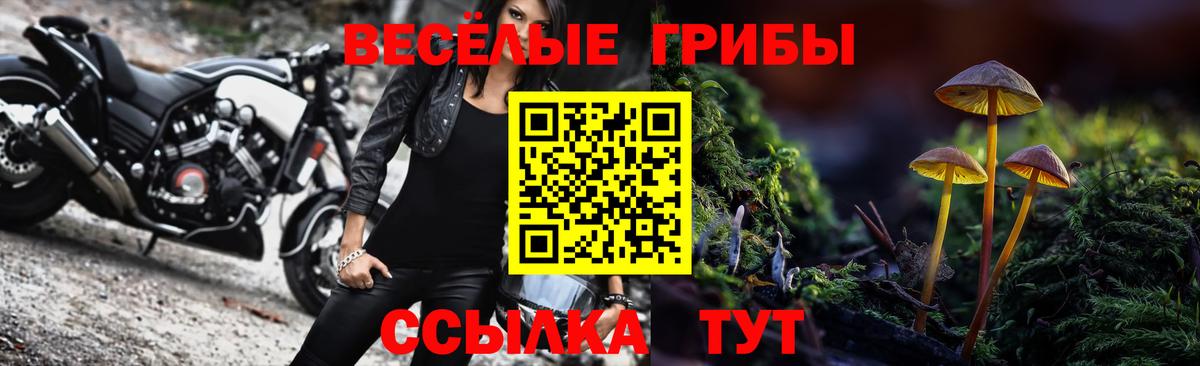 Галлюциногенные грибы Cubensis Петрозаводск